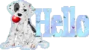 Hello