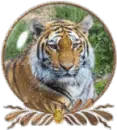 Tiger Globe 