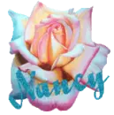 Nancy