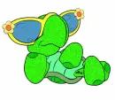 Cute Turtle
