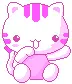 pink kitty