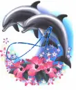 A Dolphin