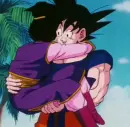 goku and chichi