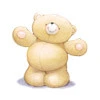 Teddy HUgs