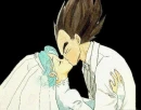 vegeta and bulma wedding