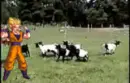 goku super saiyajin