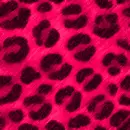 Pink Leppard
