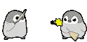 penguin badminton