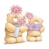 Teddy Flowers