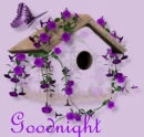 goodnight  2