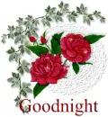 goodnight 