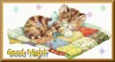 goodnight  9