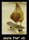 sk8