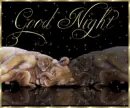 goodnight  18