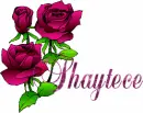 Shaytece
