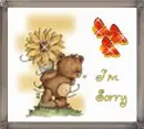 I'm Sorry
