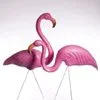 Pink Lawn Flamingo