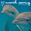 Dolphins â™¥