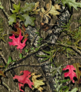 Girly Mossy Oak Camo