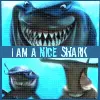 nice shark