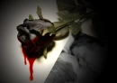 bleeding love