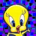 teety