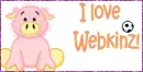 webkin