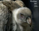 Waiting for you