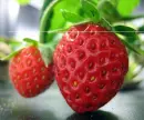 straw berry