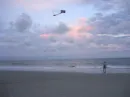 wau