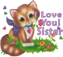 Iloveyousister~kitten