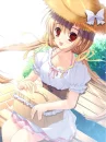 picnic