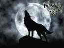 Wolf's rain
