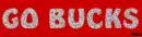 Go Bucks Glitz