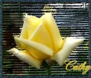 Yello Rose Cathy