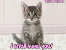 Keel You!