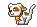 cute little dog