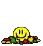 s5
