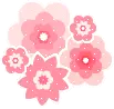 pink flowers