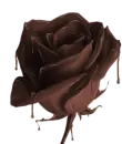 rose chocolate