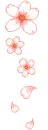 lovely flowers