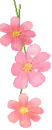 cute flowers