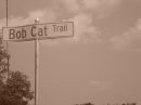 bobcat trail in l.w