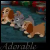 Puppies