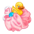 little duck
