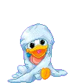 Baby Donald Duck