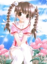 Pink Flowers