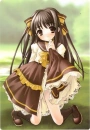 Brown Dress