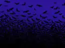 bats
