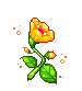 little flower